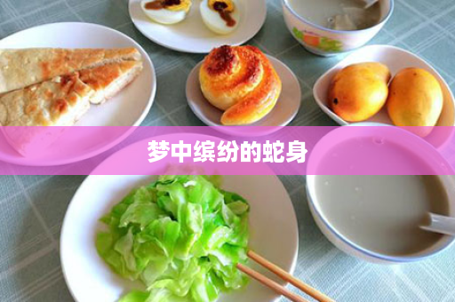 梦中缤纷的蛇身