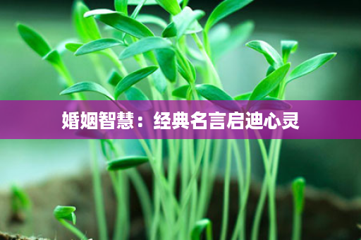 婚姻智慧：经典名言启迪心灵