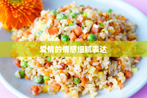 爱情的情感细腻表达