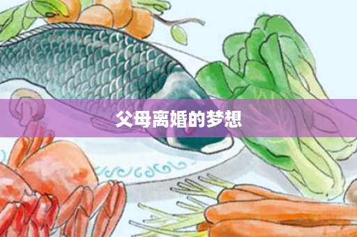 父母离婚的梦想