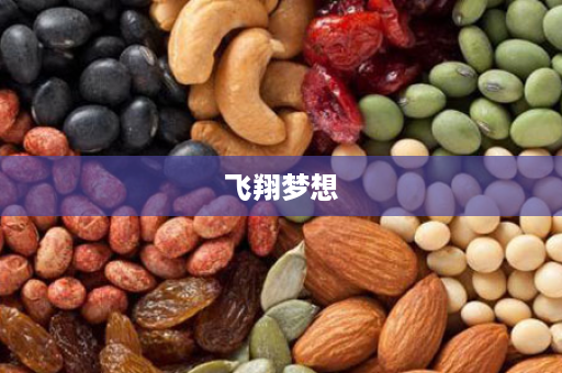 飞翔梦想