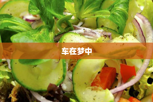 车在梦中