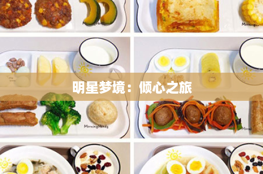 明星梦境：倾心之旅
