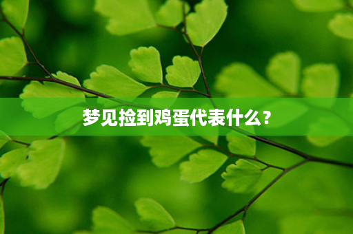 梦见捡到鸡蛋代表什么？