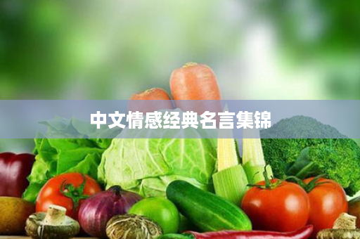 中文情感经典名言集锦