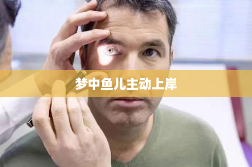 梦中鱼儿主动上岸