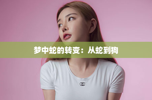 梦中蛇的转变：从蛇到狗