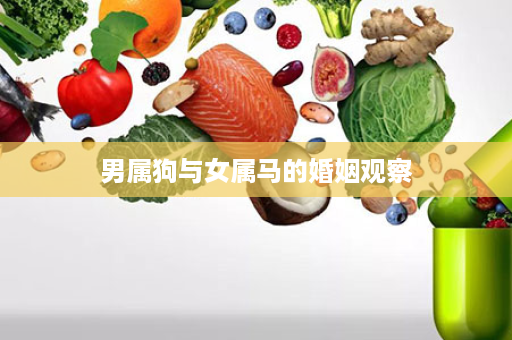 男属狗与女属马的婚姻观察