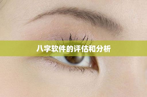 八字软件的评估和分析