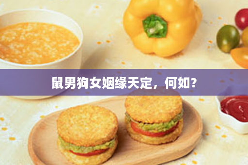鼠男狗女姻缘天定，何如？