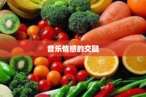 音乐情感的交融