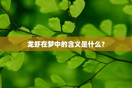 龙虾在梦中的含义是什么？