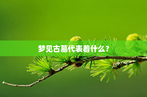 梦见古墓代表着什么？