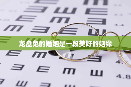 龙盘兔的婚姻是一段美好的姻缘