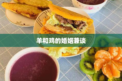 羊和鸡的婚姻兼谈