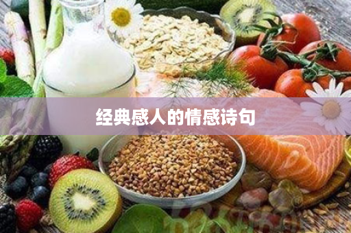经典感人的情感诗句