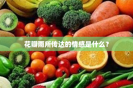 花瓣雨所传达的情感是什么？