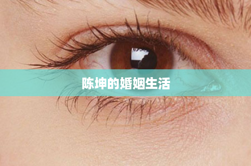 陈坤的婚姻生活