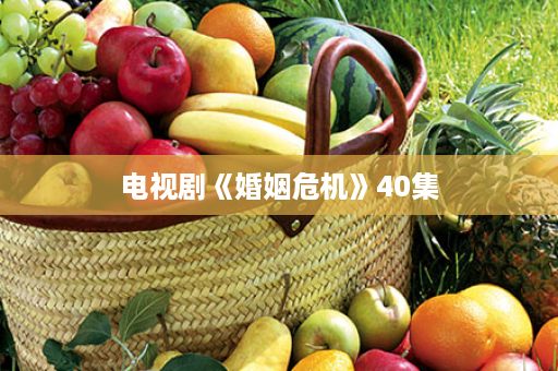 电视剧《婚姻危机》40集