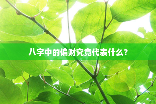 八字中的偏财究竟代表什么？