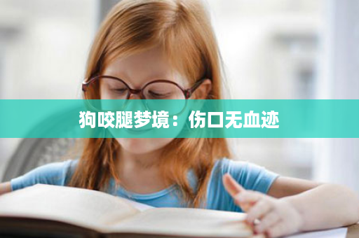 狗咬腿梦境：伤口无血迹
