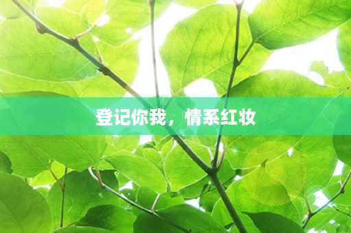 登记你我，情系红妆