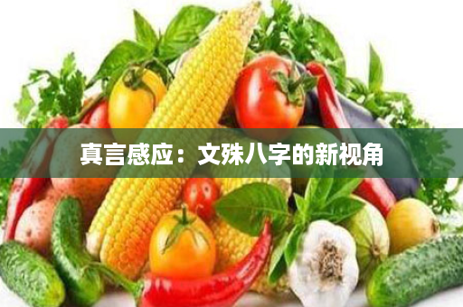 真言感应：文殊八字的新视角