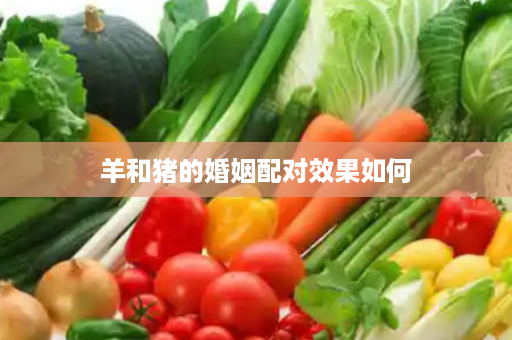 羊和猪的婚姻配对效果如何