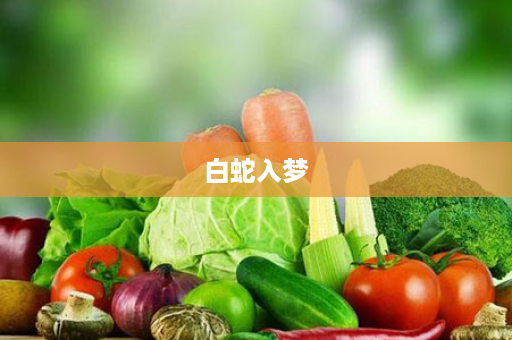 白蛇入梦