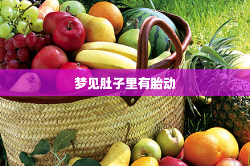 梦见肚子里有胎动
