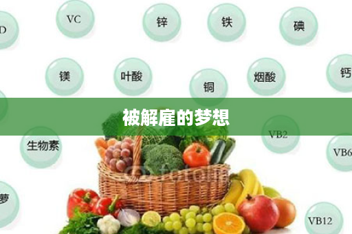 被解雇的梦想
