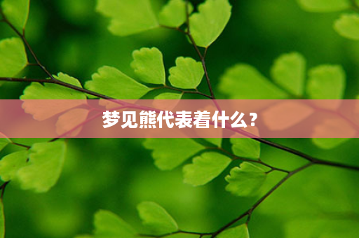 梦见熊代表着什么？