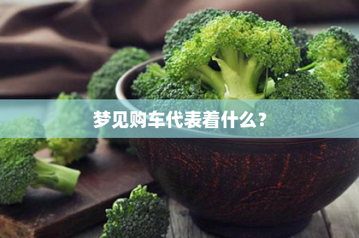 梦见购车代表着什么？