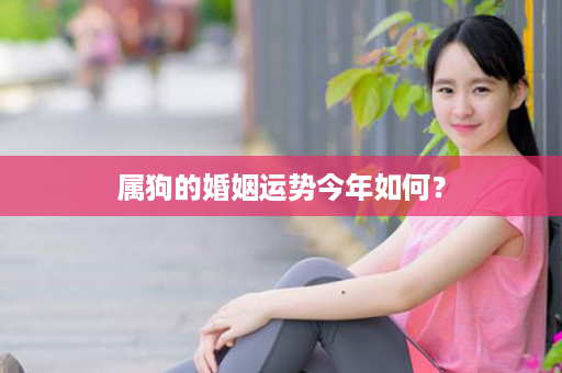 属狗的婚姻运势今年如何？