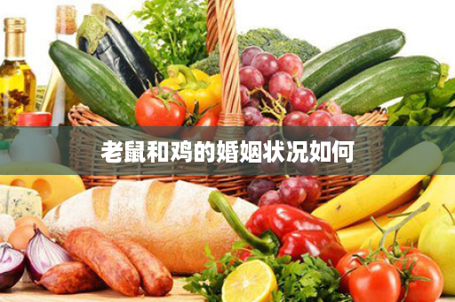 老鼠和鸡的婚姻状况如何