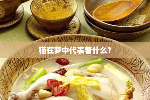 猫在梦中代表着什么？