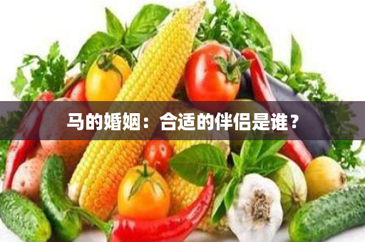 马的婚姻：合适的伴侣是谁？