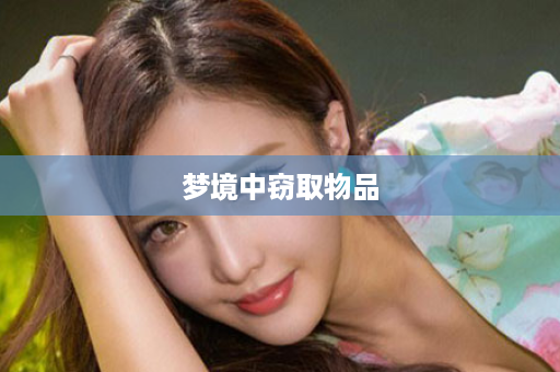梦境中窃取物品