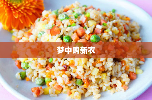 梦中购新衣