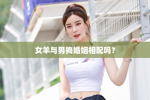 女羊与男狗婚姻相配吗？