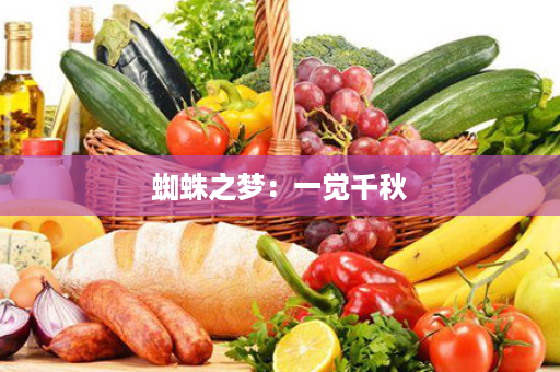 蜘蛛之梦：一觉千秋