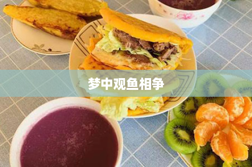梦中观鱼相争