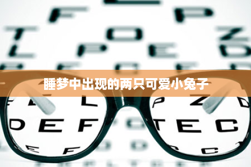 睡梦中出现的两只可爱小兔子