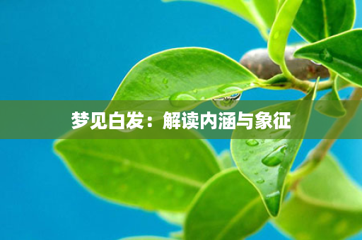 梦见白发：解读内涵与象征