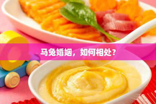 马兔婚姻，如何相处？