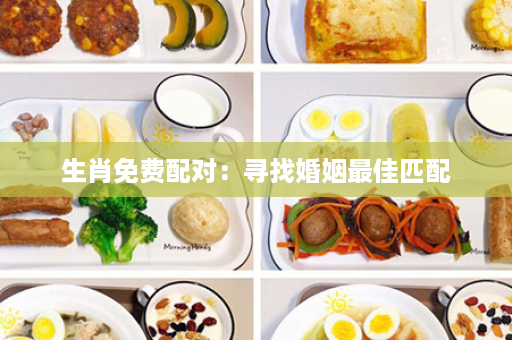 生肖免费配对：寻找婚姻最佳匹配