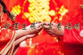 全方位八字成语：智慧精华与生活智慧