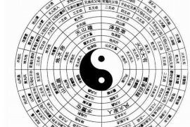八字中的罗网象征什么含义