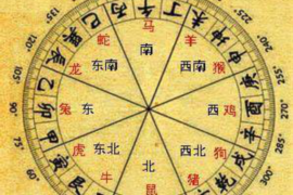 男孩金姓起名，散发着霸气的个性