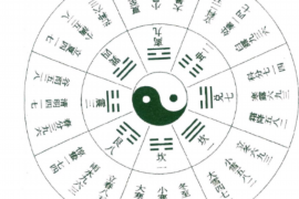 1月31日出生的水瓶座：富有创造力和革新精神的自由思想者